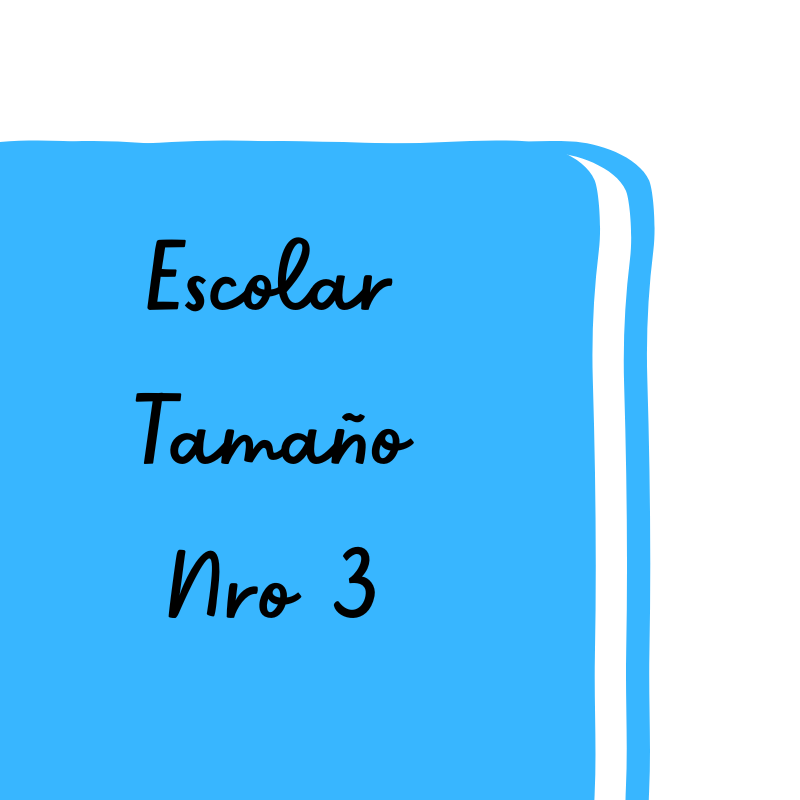 Cuaderno Escolar N°3