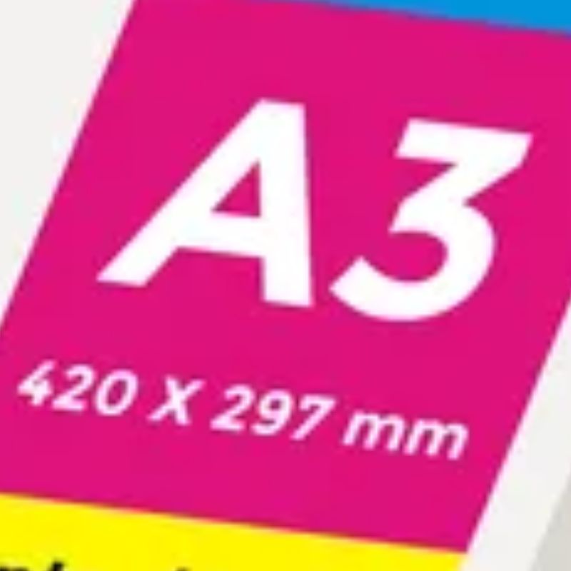 A3