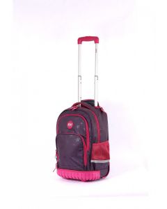 Mochila con carro 18`` Estrella Rosa