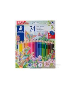 Lapices de colores Largos x24 unidades