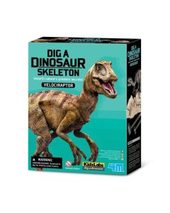 Kit de Excavacion Esqueleto Velociraptor