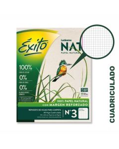 Repuesto N°3 48 hojas cuadriculadas NAT