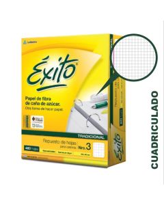 Repuesto Nº3 480 Hojas Cuadriculadas