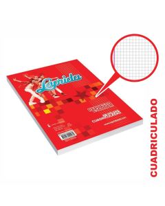 Repuesto Nº3 48 Hojas Cuadriculadas